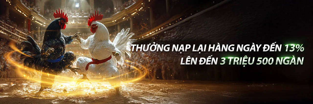 Trực Tiếp Đá Gà Thomo Ngày 27 Tháng 3